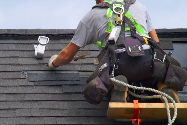 Best Flat Roof Repair Services  in Belle Fourche, SD