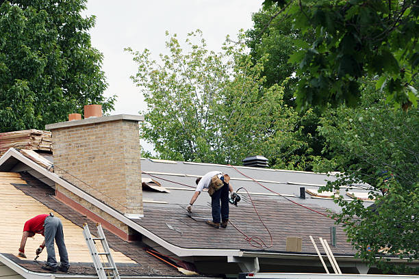Best Metal Roofing Contractor  in Belle Fourche, SD