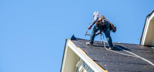 Best Emergency Roof Repair  in Belle Fourche, SD